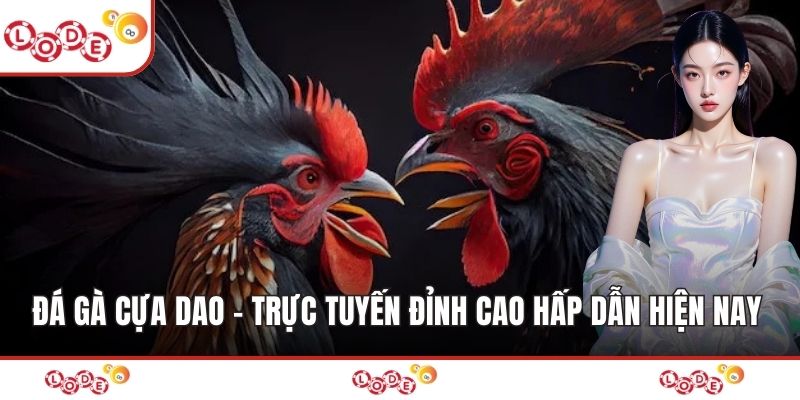 Đá Gà Cựa Dao